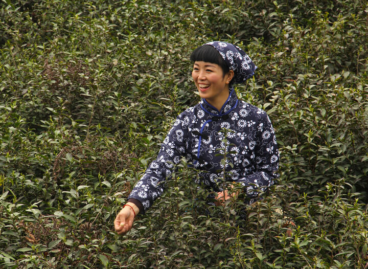 热门短剧